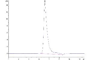 The purity of Cynomolgus Mesothelin/MSLN is greater than 95 % as determined by SEC-HPLC. (Mesothelin Protein (MSLN) (His tag))