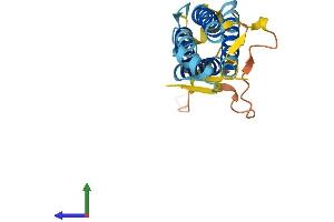 AlphaFold protein structure predicition of Mouse Recombinant Lhfpl2 Protein, UniprotID Q8BGA2