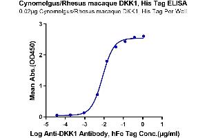 Immobilized Cynomolgus/Rhesus macaque DKK1, His Tag at 0.