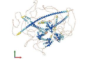 Protein Structure (PS) image for Cut-Like Homeobox 2 (CUX2) (AA 1-1486) protein (His tag) (ABIN7553607)