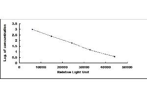 Typical standard curve