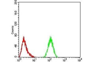 Flow cytometric analysis of Hela cells using YWHAB mouse mAb (green) and negative control (red). (YWHAB 抗体  (AA 1-246))