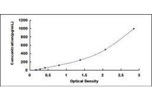 ELISA image for Colony Stimulating Factor 3 (Granulocyte) (CSF3) ELISA Kit (ABIN414378)