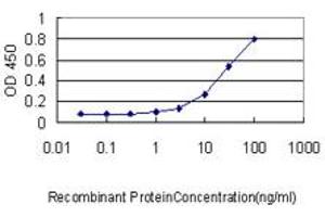 Detection limit for recombinant GST tagged RBBP4 is approximately 0. (Retinoblastoma Binding Protein 4 抗体  (AA 1-425))