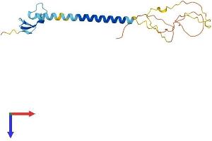 Protein Structure (PS) image for Tumor Necrosis Factor Receptor Superfamily, Member 17 (TNFRSF17) (AA 1-184) protein (His tag) (ABIN7544660)