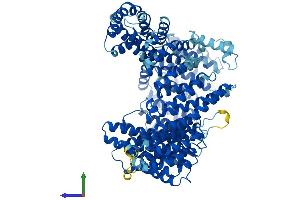 Protein Structure (PS) image for Exportin, tRNA (Nuclear Export Receptor For TRNAs) (XPOT) (AA 1-962) protein (His tag) (ABIN7556056)