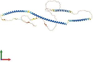 Protein Structure (PS) image for 5-Azacytidine Induced 2 (AZI2) (AA 1-405) protein (His tag) (ABIN7561800)