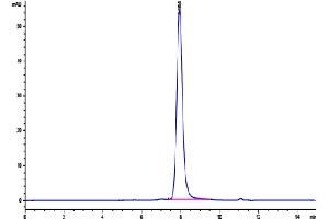 Size-exclusion chromatography-High Pressure Liquid Chromatography (SEC-HPLC) image for Growth Differentiation Factor 15 (GDF15) (AA 189-303) protein (Fc Tag,Biotin) (ABIN7274730)