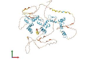 Protein Structure (PS) image for CCCTC-Binding Factor (Zinc Finger Protein) (CTCF) (AA 1-736) protein (His tag) (ABIN7563903)