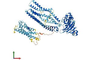 Protein Structure (PS) image for ATP-Binding Cassette, Sub-Family B (MDR/TAP), Member 6 (ABCB6) (AA 1-842) protein (His tag) (ABIN7561316)