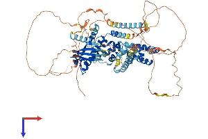SATB1 Protein (AA 1-764) (His tag)