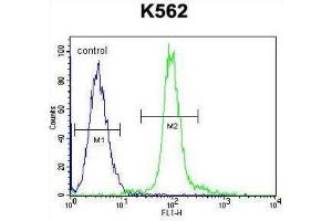 Flow Cytometry (FACS) image for anti-Glomulin, FKBP Associated Protein (GLMN) antibody (ABIN2996511)