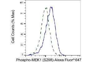 Validation of MEK1 knockdown using flow cytometry. (Recombinant MEK1 抗体  (pSer298))
