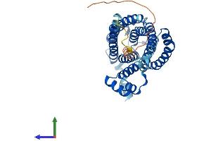 AlphaFold protein structure predicition of Human Recombinant CERS2 Protein, UniprotID Q96G23