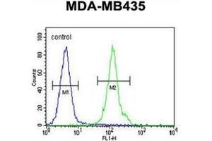 Flow Cytometry (FACS) image for anti-Olfactory Receptor, Family 2, Subfamily L, Member 13 (OR2L13) (AA 251-279), (C-Term) antibody (ABIN953912)