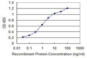 Detection limit for recombinant GST tagged PER2 is 0. (PER2 抗体  (AA 1-100))
