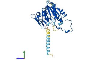 Protein Structure (PS) image for beta-1,3-Glucuronyltransferase 1 (Glucuronosyltransferase P) (B3GAT1) (AA 1-334) protein (His tag) (ABIN7560655)