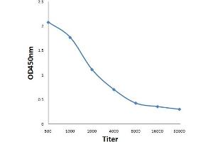 Antigen: 0. (IGSF9 抗体)