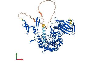 Protein Structure (PS) image for Glucuronic Acid Epimerase (GLCE) (AA 1-617) protein (His tag) (ABIN7554007)