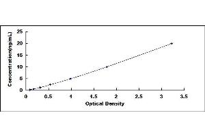 Typical standard curve (AICDA ELISA 试剂盒)