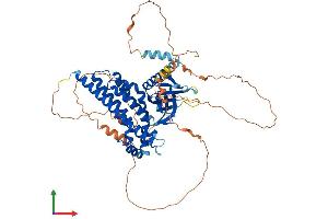 Protein Structure (PS) image for Rho Guanine Nucleotide Exchange Factor 25 (ARHGEF25) (AA 1-580) protein (His tag) (ABIN7552383)