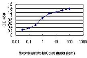 ELISA image for anti-Kinase Suppressor of Ras 2 (KSR2) (AA 411-500) antibody (ABIN567007)