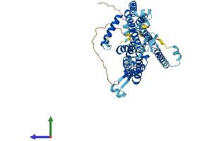 Protein Structure (PS) image for CDP-Diacylglycerol Synthase (Phosphatidate Cytidylyltransferase) 1 (CDS1) (AA 1-461) protein (His tag) (ABIN7556842)