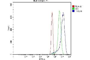 Flow Cytometry analysis of MCF-7 cells using anti-TYK2 antibody (ABIN7602085). (TYK2 抗体  (AA 581-719))