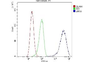 Flow Cytometry analysis of A431 cells using anti-SMC6L1 antibody (ABIN5693133). (SMC6 抗体  (AA 205-443))