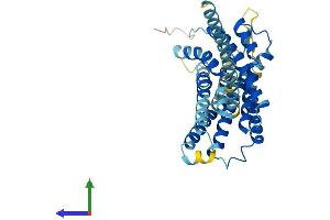 Protein Structure (PS) image for Lysophosphatidic Acid Receptor 6 (LPAR6) (AA 1-344) protein (His tag) (ABIN7549078)