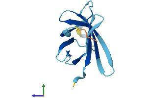 Protein Structure (PS) image for Mature T-Cell Proliferation 1 (MTCP1) (AA 1-107) protein (His tag) (ABIN7557636)