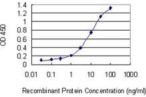 Detection limit for recombinant GST tagged NAT8B is 0. (NAT8B 抗体  (AA 83-179))