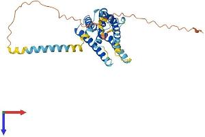 YIF1B Protein (AA 1-314) (His tag)