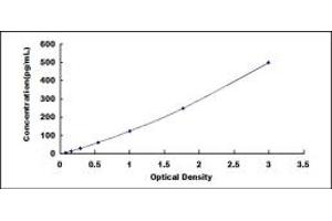 Typical standard curve (IL12B ELISA 试剂盒)