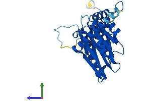 AlphaFold protein structure predicition of Human Recombinant PSMA4 Protein, UniprotID P25789
