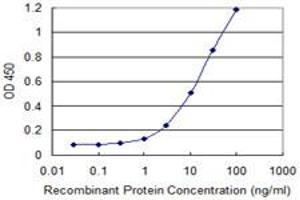 Detection limit for recombinant GST tagged HCP5 is 0. (HCP5 抗体  (AA 3-103))