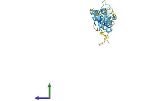 Protein Structure (PS) image for Ubiquitin Domain Containing 1 (UBTD1) (AA 1-227) protein (His tag) (ABIN7544922)