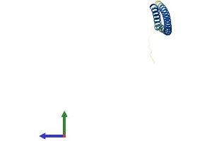 Protein Structure (PS) image for Blocked Early in Transport 1 Homolog (BET1) (AA 1-118) protein (His tag) (ABIN7552615)
