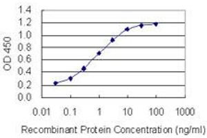 Detection limit for recombinant GST tagged CAGE1 is 0. (CAGE1 抗体  (AA 2-100))