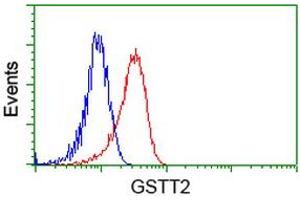 HEK293T cells transfected with either RC200040 overexpress plasmid (Red) or empty vector control plasmid (Blue) were immunostained by anti-GSTT2 antibody (ABIN2453097), and then analyzed by flow cytometry. (GSTT2 抗体)