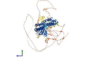 Protein Structure (PS) image for rho Guanine Nucleotide Exchange Factor (GEF) 15 (ARHGEF15) (AA 1-849) protein (His tag) (ABIN7563818)