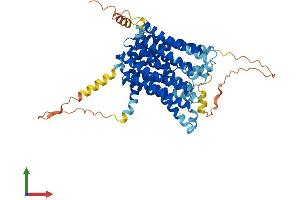 Protein Structure (PS) image for Solute Carrier Family 40 (Iron-Regulated Transporter), Member 1 (SLC40A1) (AA 1-571) protein (His tag) (ABIN7551653)