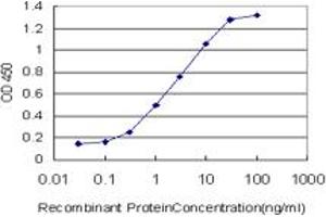 Detection limit for recombinant GST tagged PPARBP is approximately 0. (MED1 抗体  (AA 1391-1490))