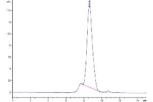 Size-exclusion chromatography-High Pressure Liquid Chromatography (SEC-HPLC) image for Interleukin 18 Binding Protein (IL18BP) (AA 31-194) protein (His-Avi Tag,Biotin) (ABIN7274977)