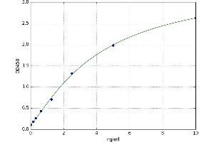 A typical standard curve (FUT7 ELISA 试剂盒)