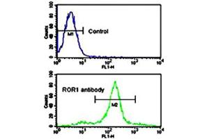 Flow cytometric analysis of NCI-H460 cells using ROR1 polyclonal antibody (bottom histogram) compared to a negative control cell (top histogram). (ROR1 抗体  (AA 112-399))