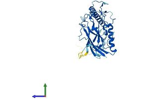 Protein Structure (PS) image for ATPase, H+/K+ Exchanging, beta Polypeptide (ATP4b) (AA 1-294) protein (His tag) (ABIN7563372)