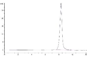 The purity of Biotinylated Mouse CDCP1 is greater than 95 % as determined by SEC-HPLC.