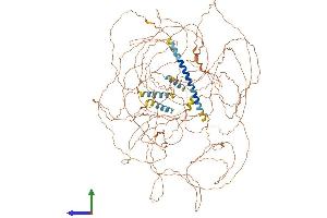 Protein Structure (PS) image for MN1 proto-oncogene (MN1) (AA 1-1297) protein (His tag) (ABIN7562090)