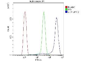 Flow Cytometry analysis of THP-1 cells using anti-CFP antibody (ABIN6719298).